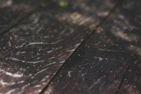 wooden floor of a terrace