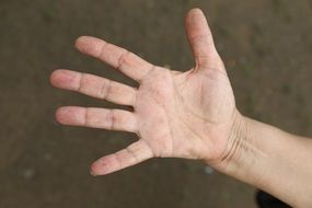 palm of a female hand