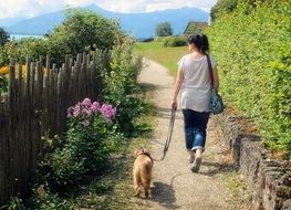 woman walking with a dog in countryside
