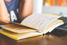 girl reading a book