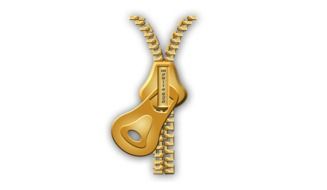 painted gold zipper on white