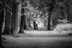 woman with baby carriage in a park