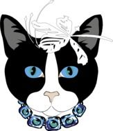 cat gata animal face feline