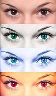 collage of female attractive eyes
