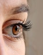 brown eye woman