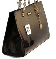 elegant female handbag