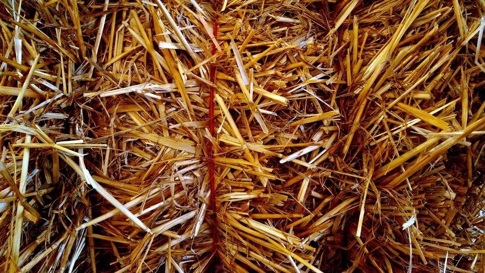 hay harvest texture golden farm