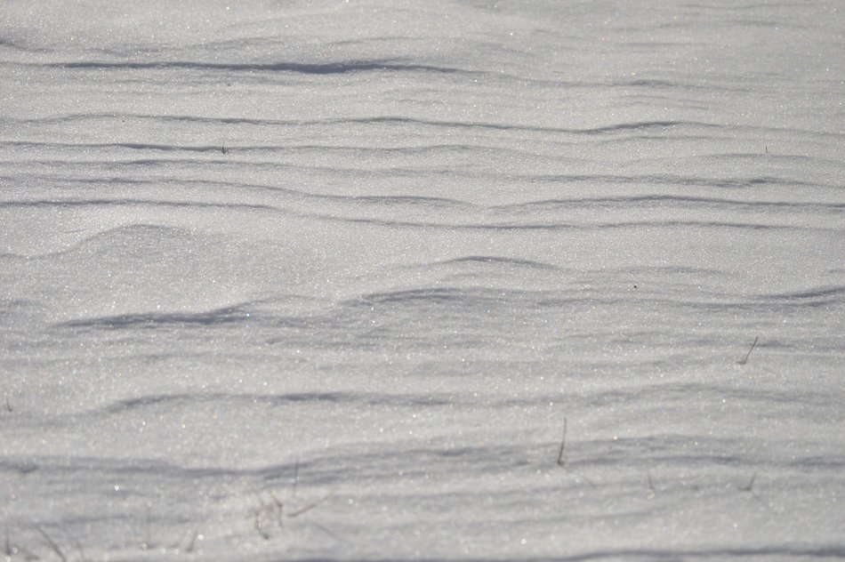 snow texture lines winter white
