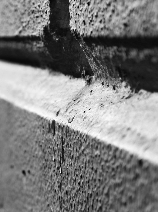 wall black and white macro