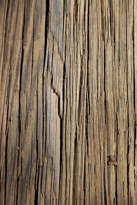 texture wood lines tan background