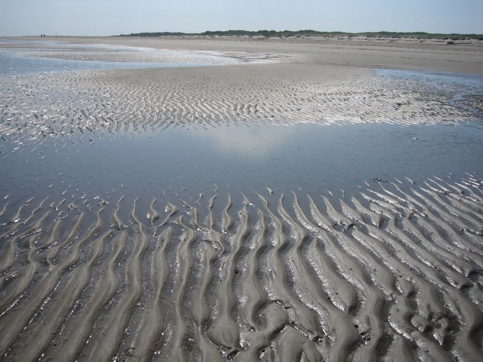 summer beach sandrippel ridge
