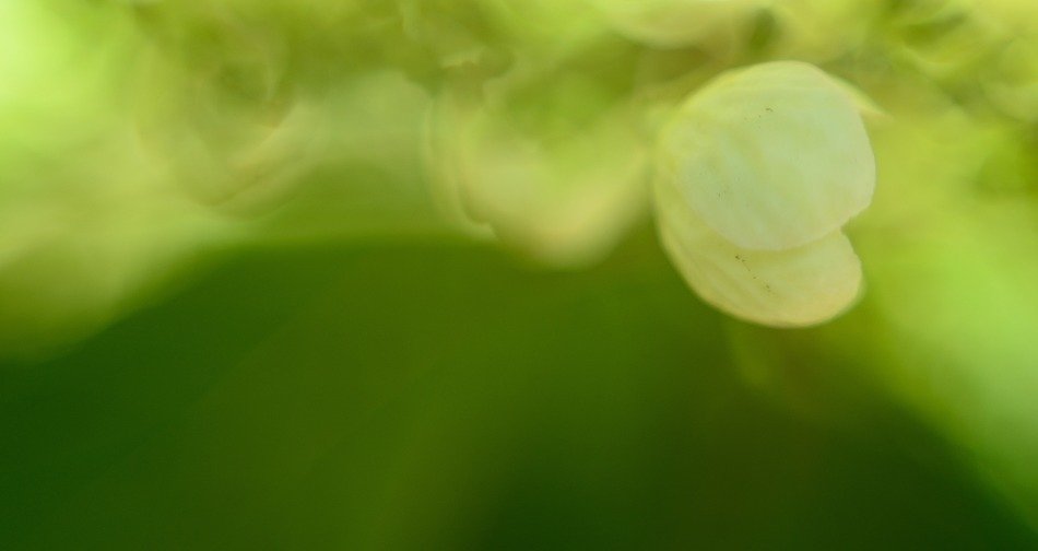 abstract background pattern green