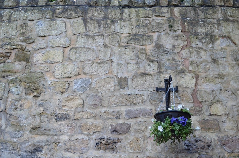 stone wall background flowers