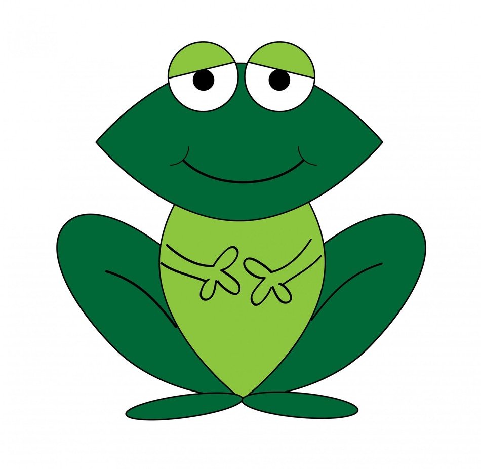 frog cartoon cute art animal