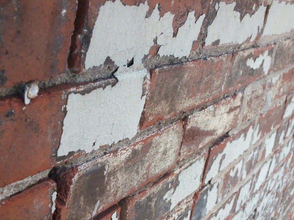 paint peel peeling