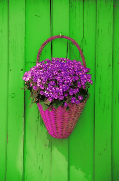 wall basket flowers decoration