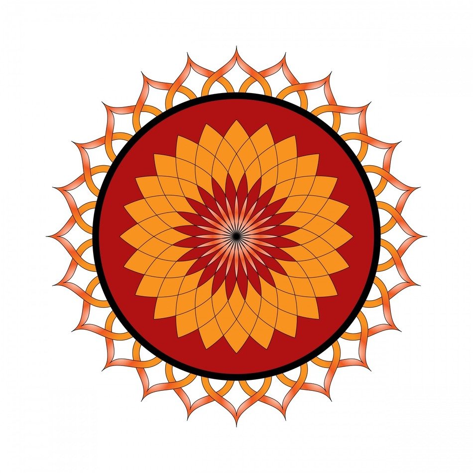 lotus flower floral