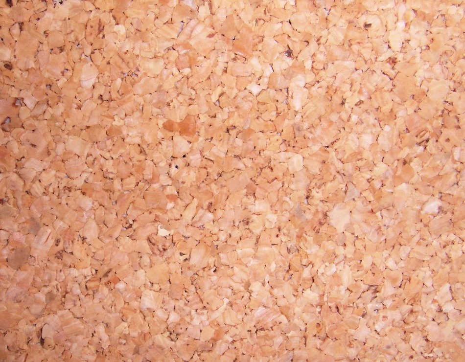bulletin board cork wall