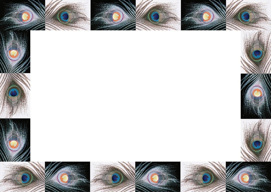 peacock feathers pattern eyes