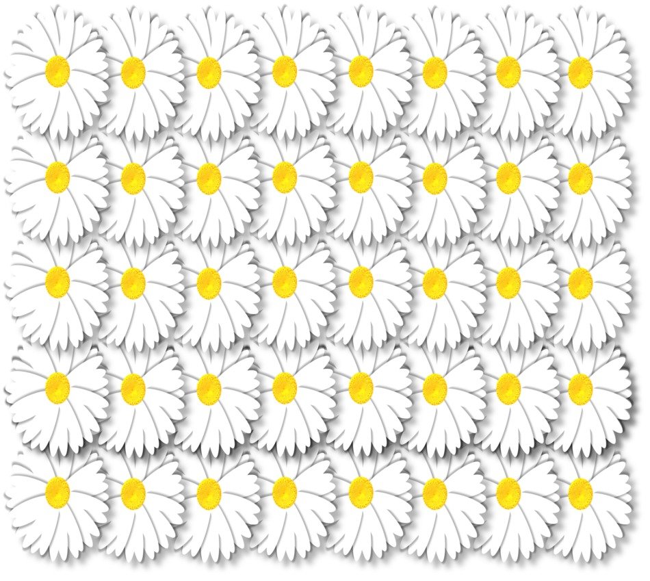 artistic daisy daisies wall