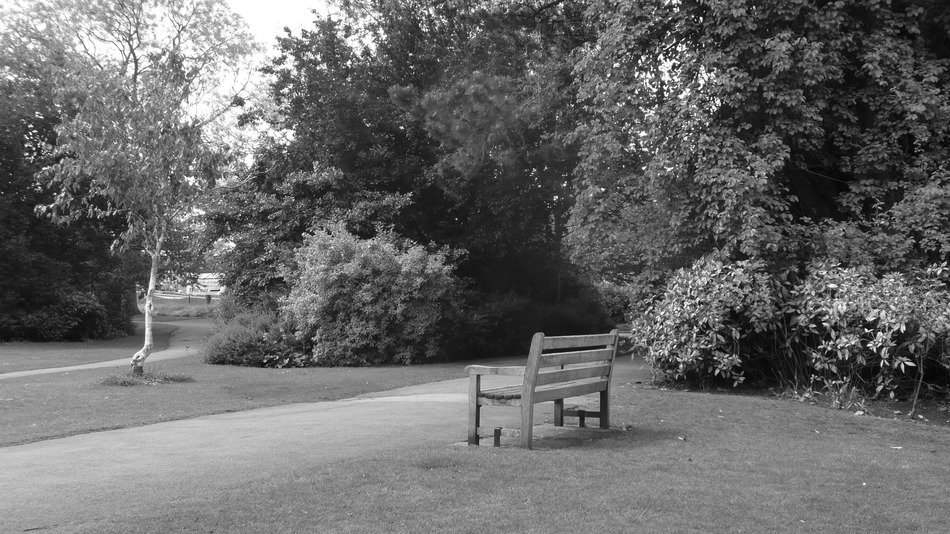 bench promenade park black white