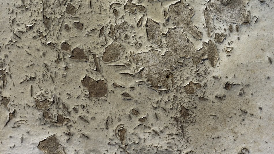 texture weathered background design