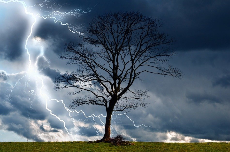 tree and storm