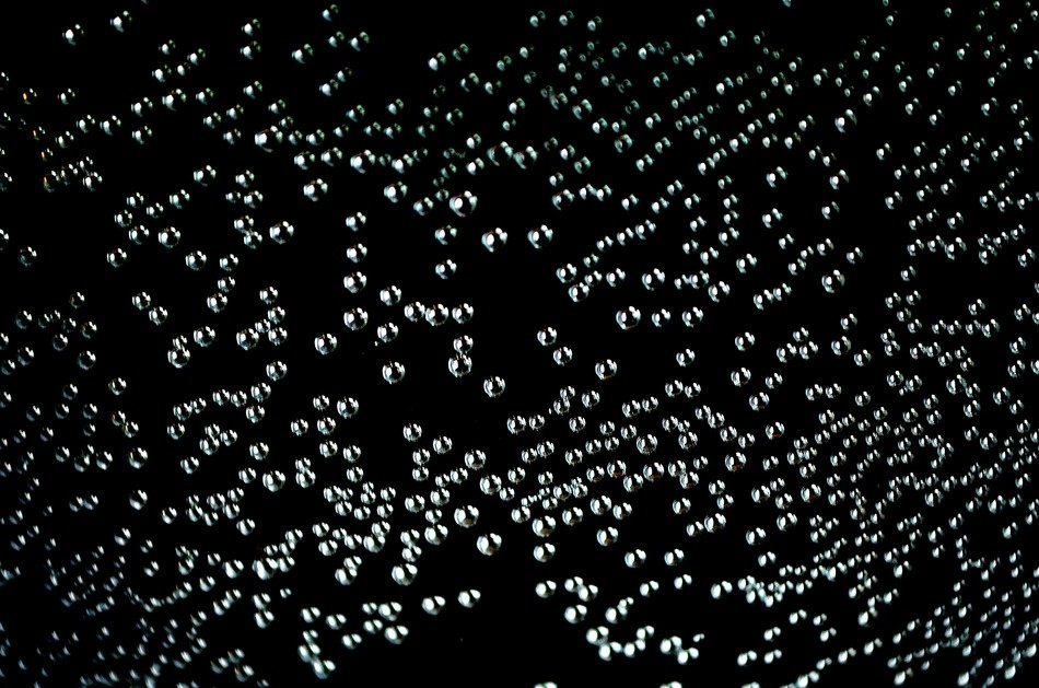 bubbles floating tiny many