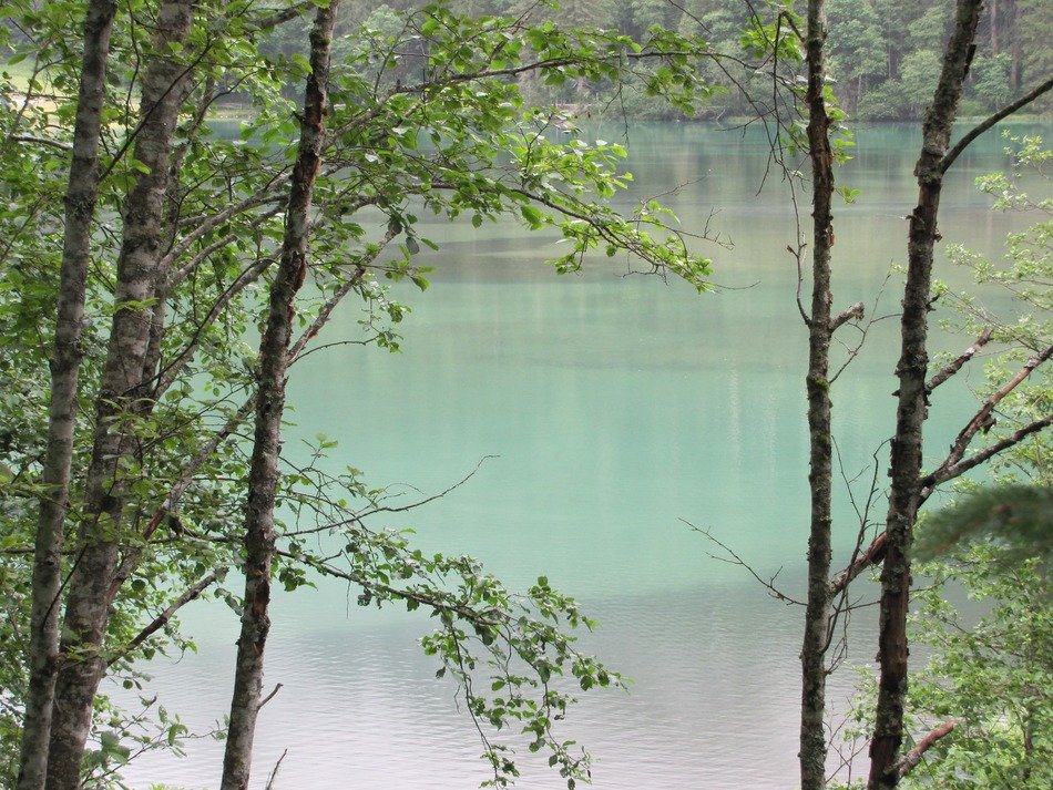 austria nature lake hunter