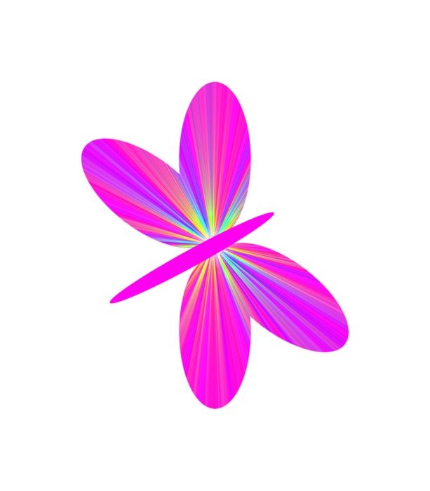 butterfly colourful colorful