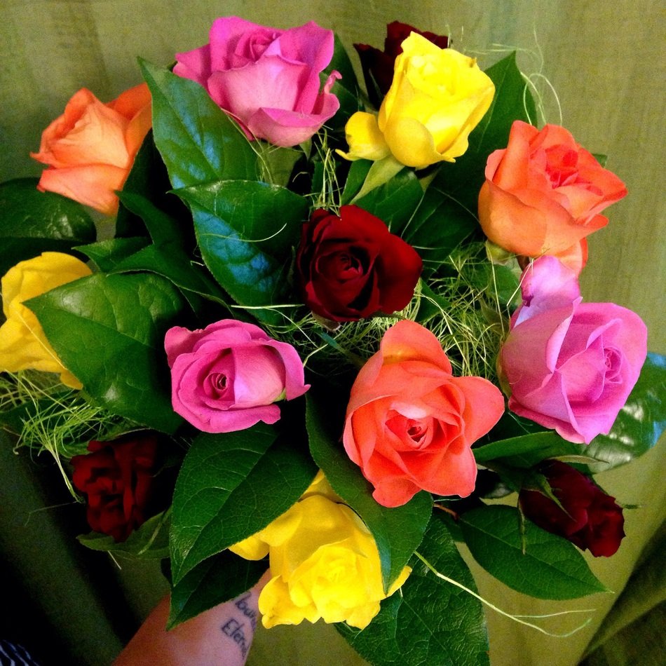 flowers roses queen of