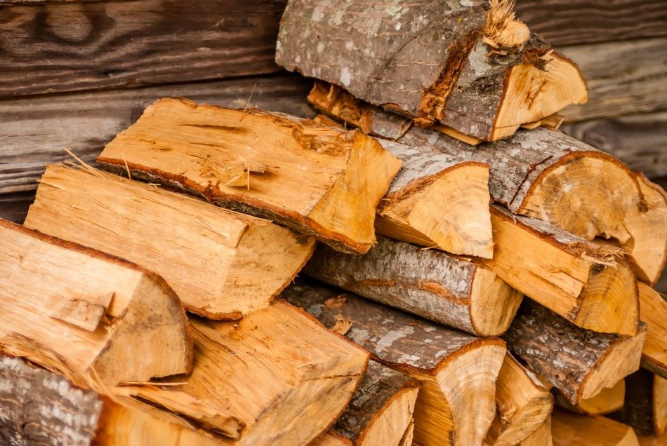 bark birch brown chimney chop