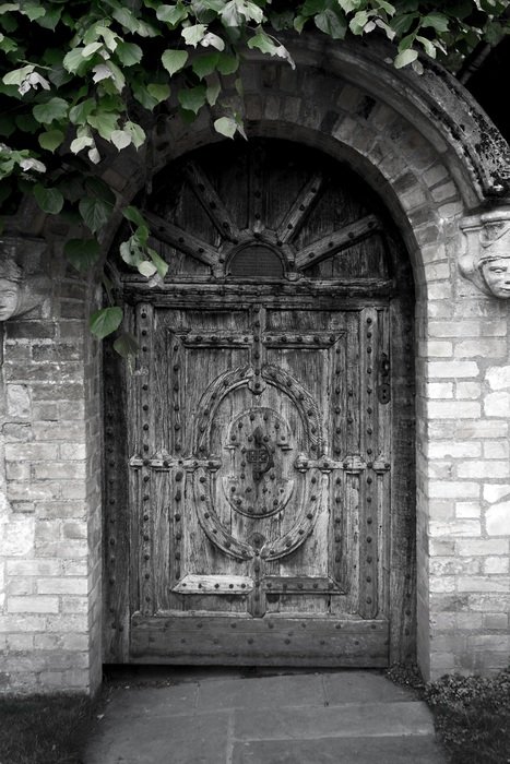door oak iron studs