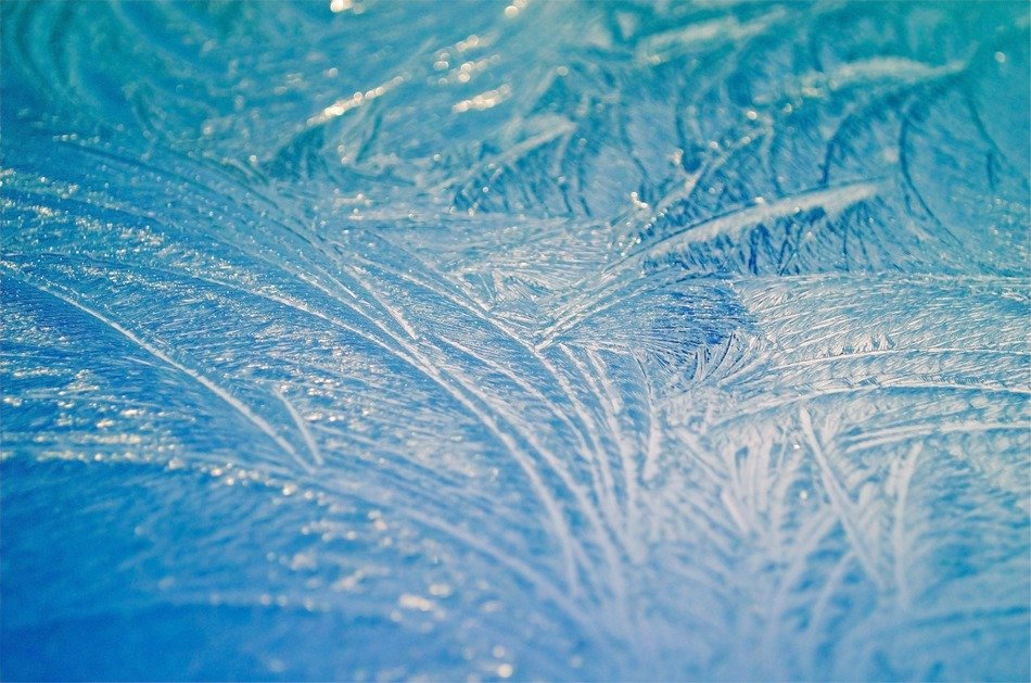 morning frost ice seasons macro