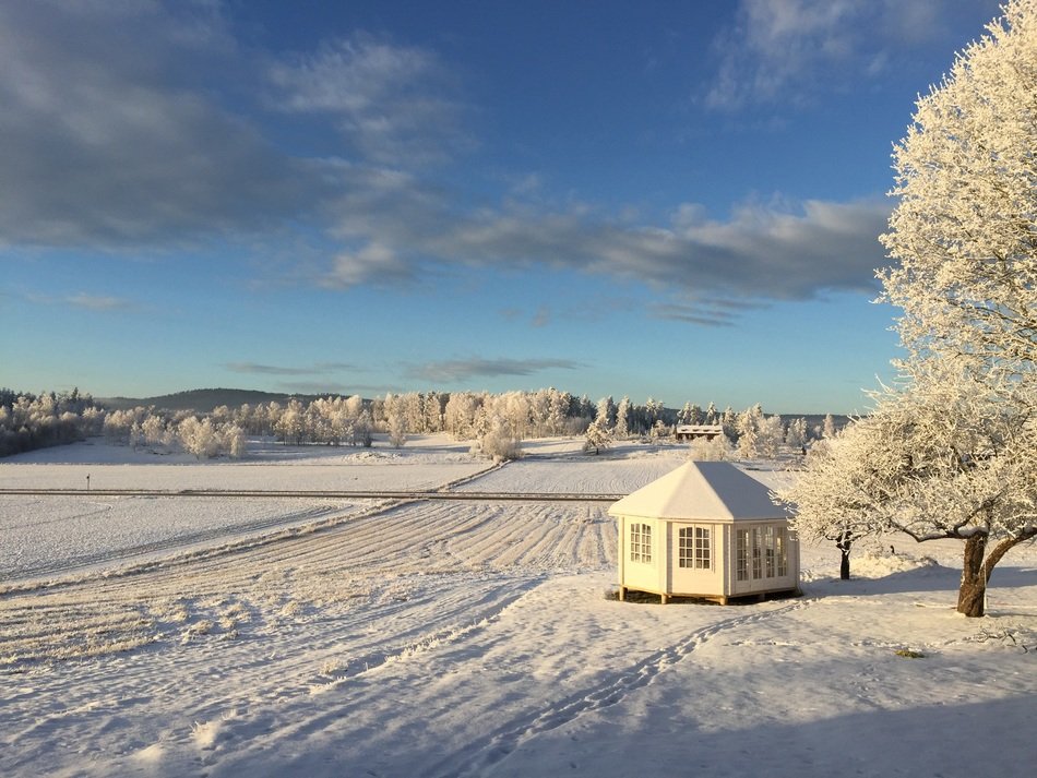 winter landscape snow