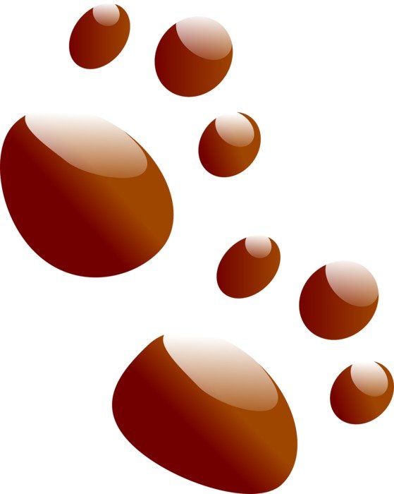 paws footprint dog animal pet