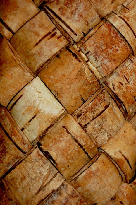 birch bark texture light plen D1 91nka