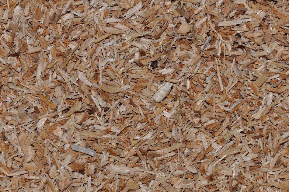 wood chips pieces of close
