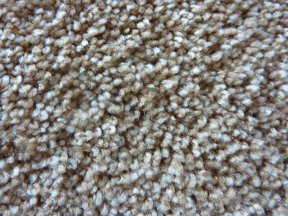 carpet room rug floor background
