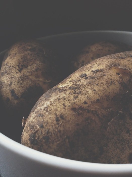 potato plant eating closeup nature