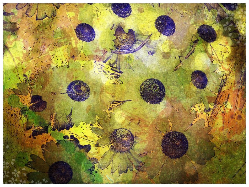 background daisy abstract strong