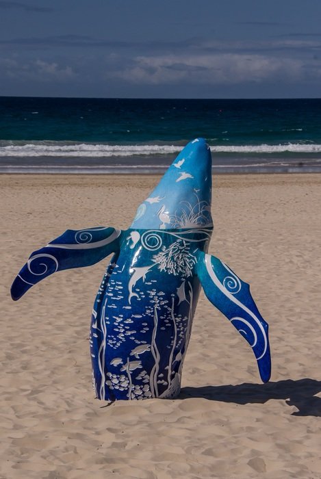 whale model blue white pattern