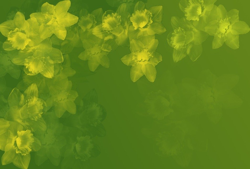 background osterglocken green
