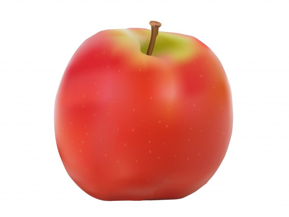 apple red big fruit food art