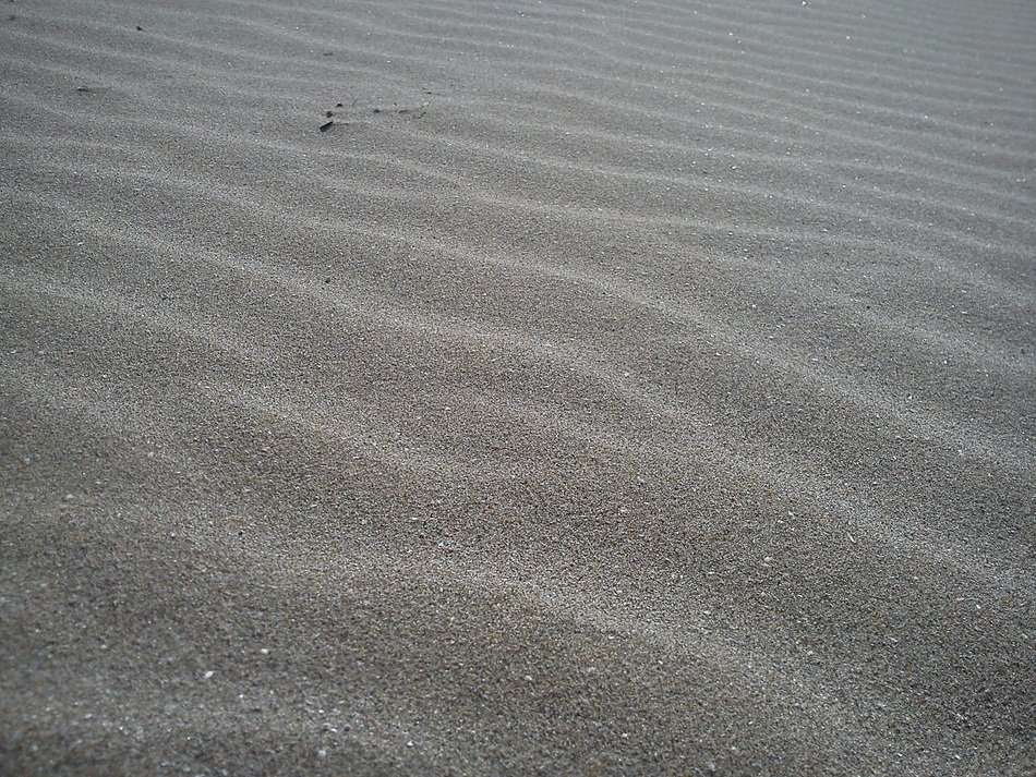 sand dunes gone with the wind dry