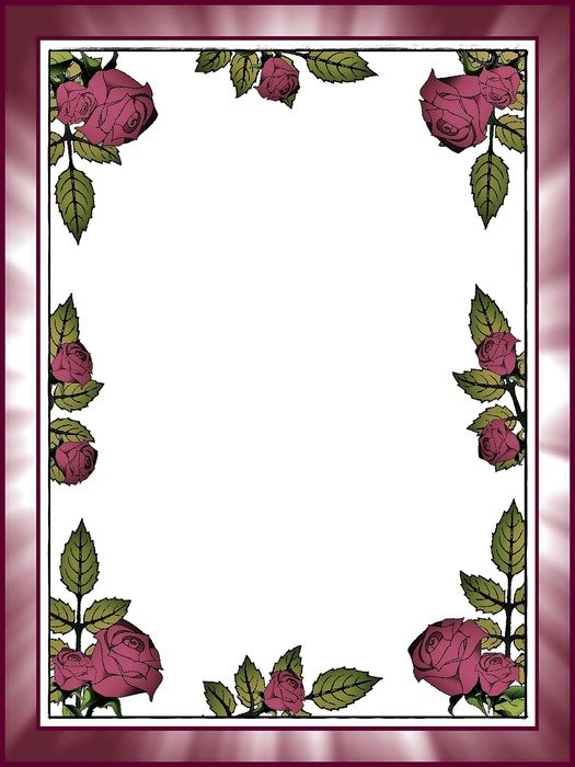 roses postcard stationery message