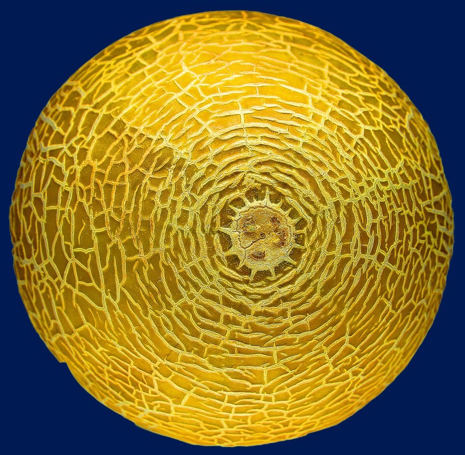 power melon fruit texture surface