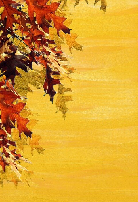 yellow background with autumn foliage