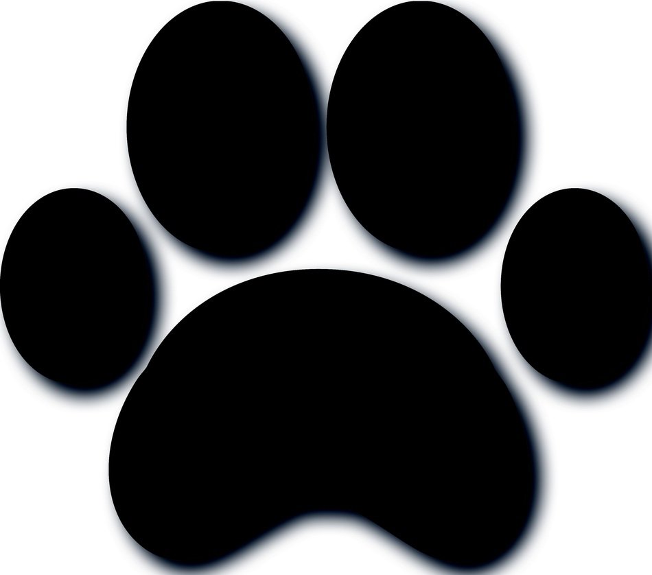 paw dog texture pattern structure