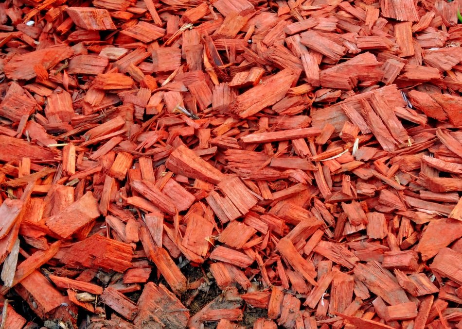 red bark garden path color wood